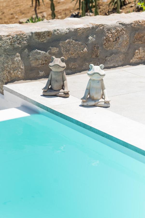 Dioni Villa Mykonos Paránga Kültér fotó