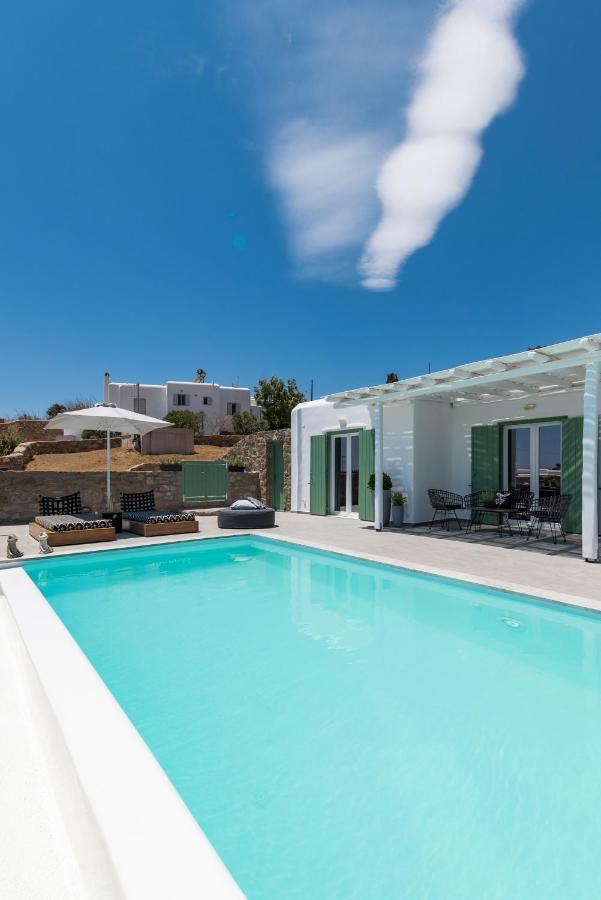 Dioni Villa Mykonos Paránga Kültér fotó